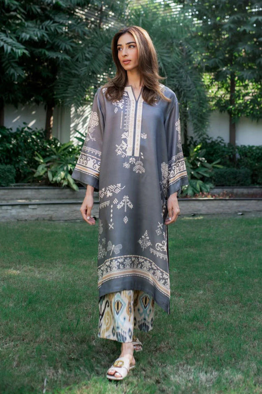 Stone Grey - Embroidered Ikat Co-ord Set